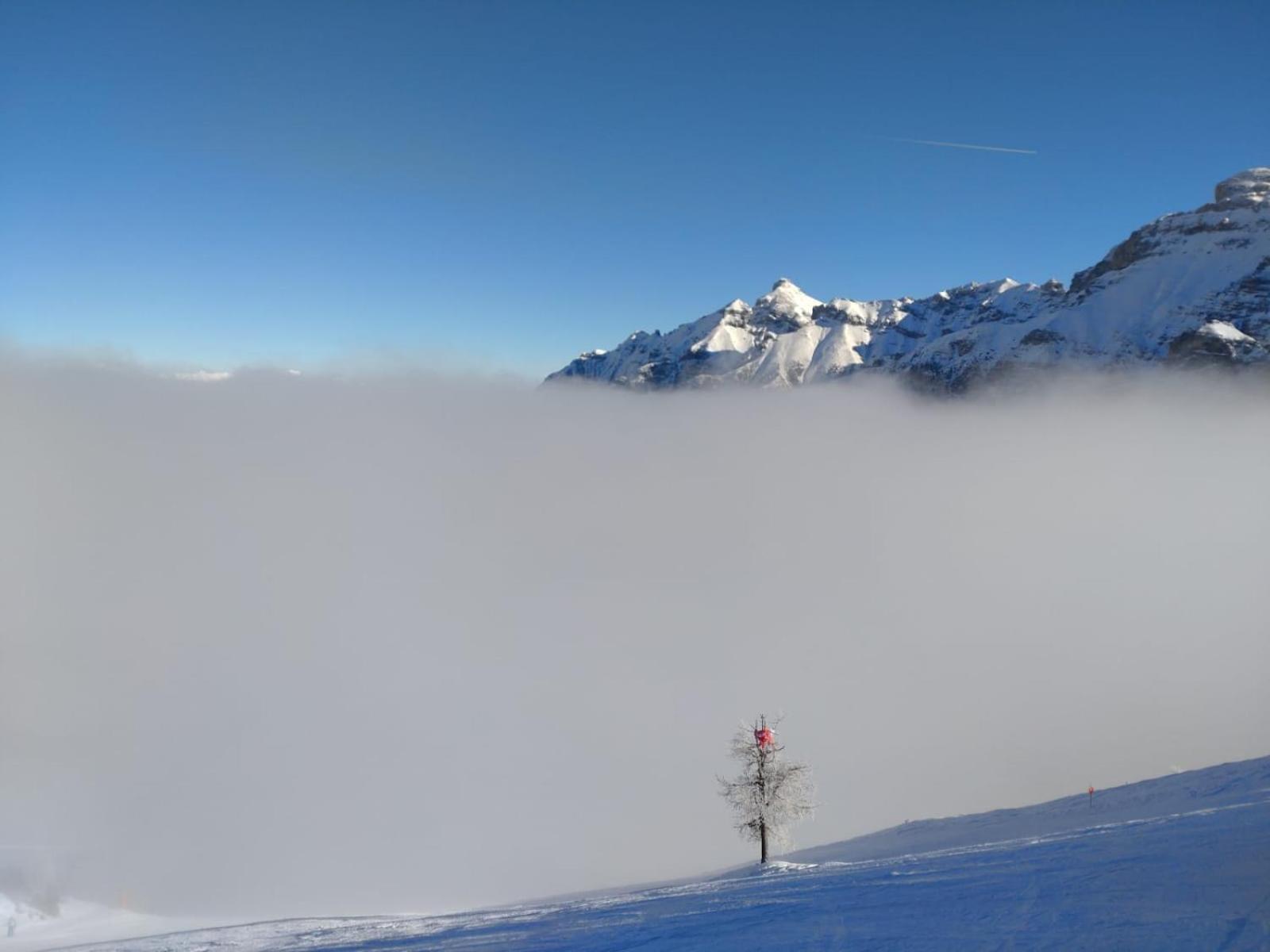 Landhaus Susanne Neustift im Stubaital Exteriör bild